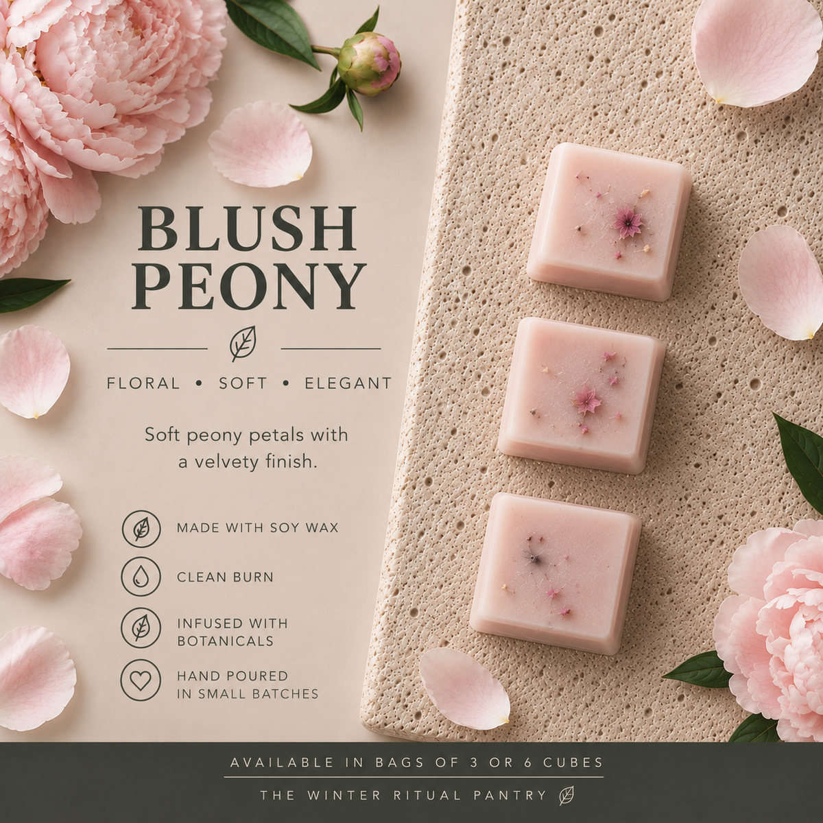 Blush Peony