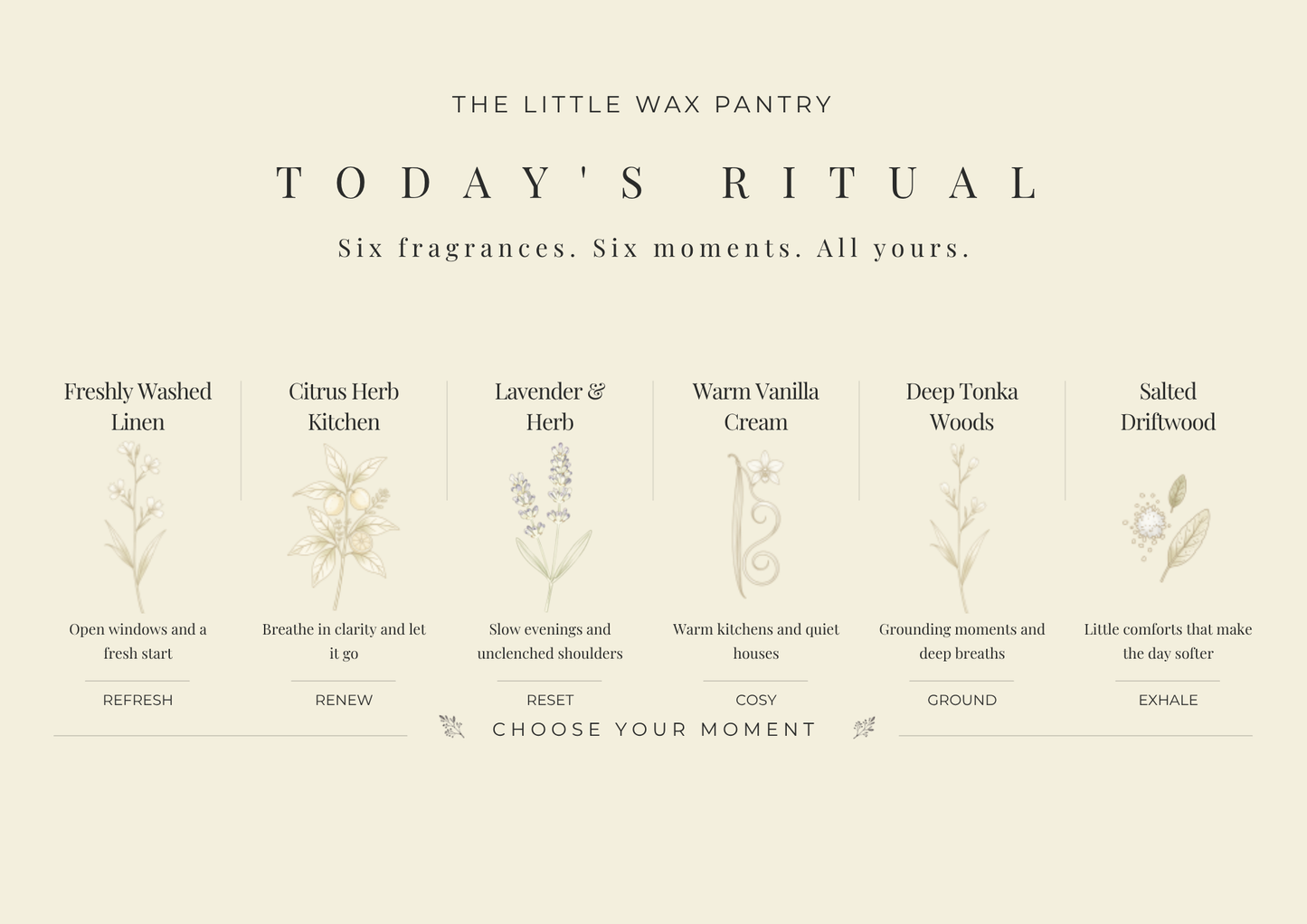 New Beginnings rituals card included with The Little Wax Pantry Discovery Box.